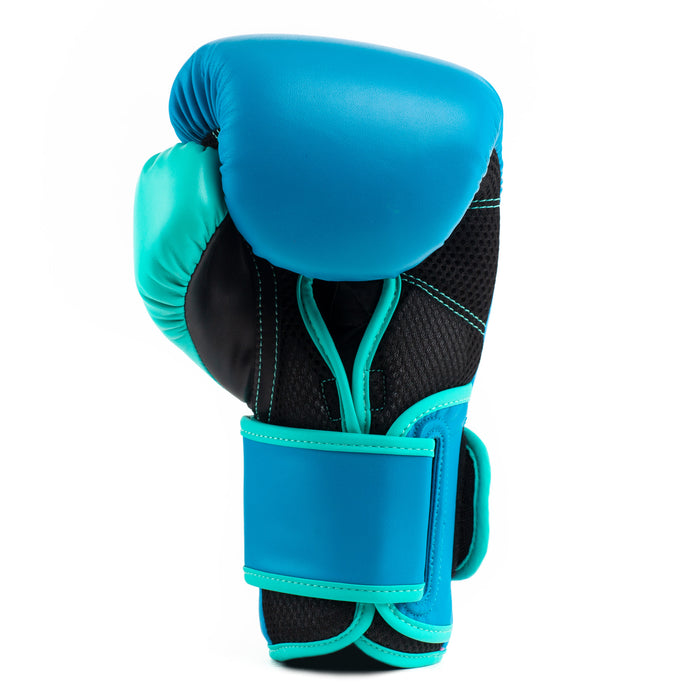 Guantes De Boxeo Everlast Powerlock 2 TR Hook & Loop Azul