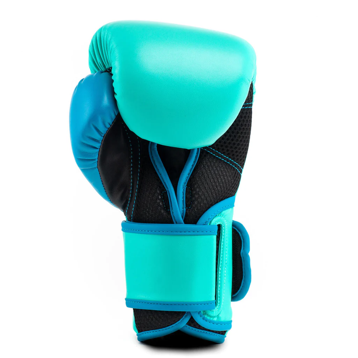 Guantes De Box Powerlock 2 TR Hook & Loop Biscay