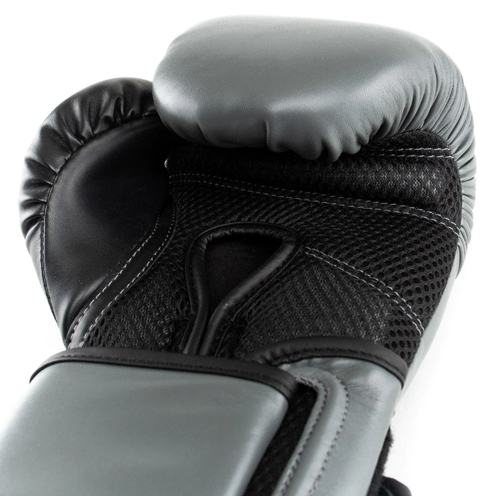 Guantes De Boxeo EVERLAST Powerlock 2 TR Hook & Loop Gris